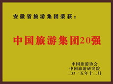 2015年度中国Z6尊龙凯时集团20强