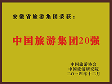 2014年度中国Z6尊龙凯时集团20强