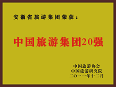2011年度中国Z6尊龙凯时集团20强