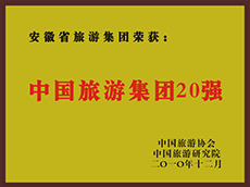 2010年度中国Z6尊龙凯时集团20强