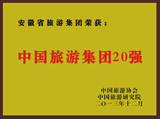 2013年度中国Z6尊龙凯时集团20强