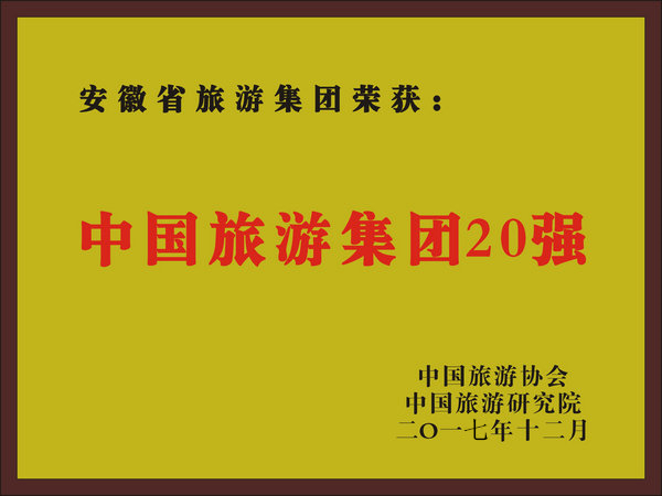 2017年度中国Z6尊龙凯时集团20强