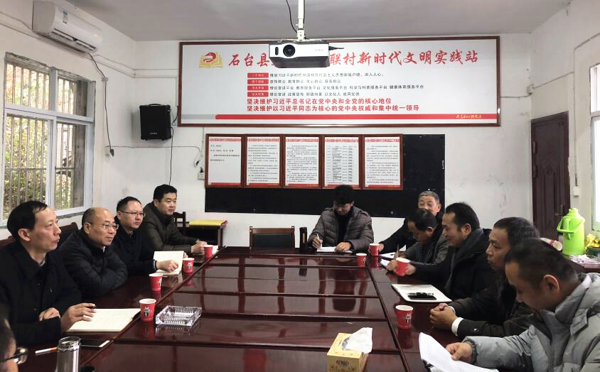 省Z6尊龙凯时集团总经理张辉一行赴石台县大演乡新联村走访调研脱贫攻坚工作
