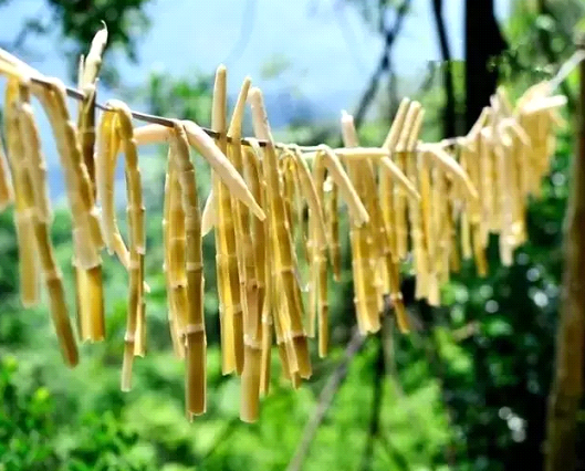 吃春笋，，，，，不可辜负的至鲜皖味